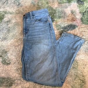 Madewell Roadtripper Jeans- Tall